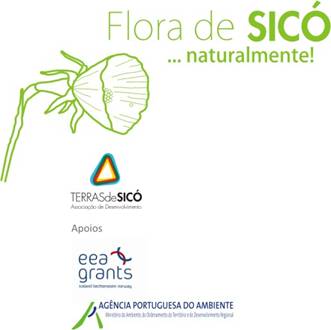 logo_FSN.jpg